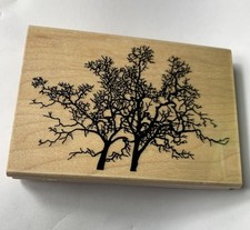 Stampscapes Oak Tree Large -179G Rubber Stamp 1997 Wood Mounted Tree Design