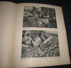 Foto 9 di 12