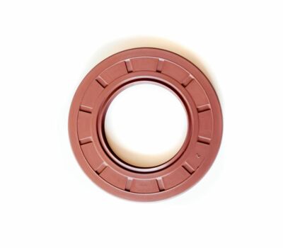 EAI 55x100x8mm FPM/FKM Oil Shaft Rotary Seal w/ Stainless Steel Spring Dbl Lip
