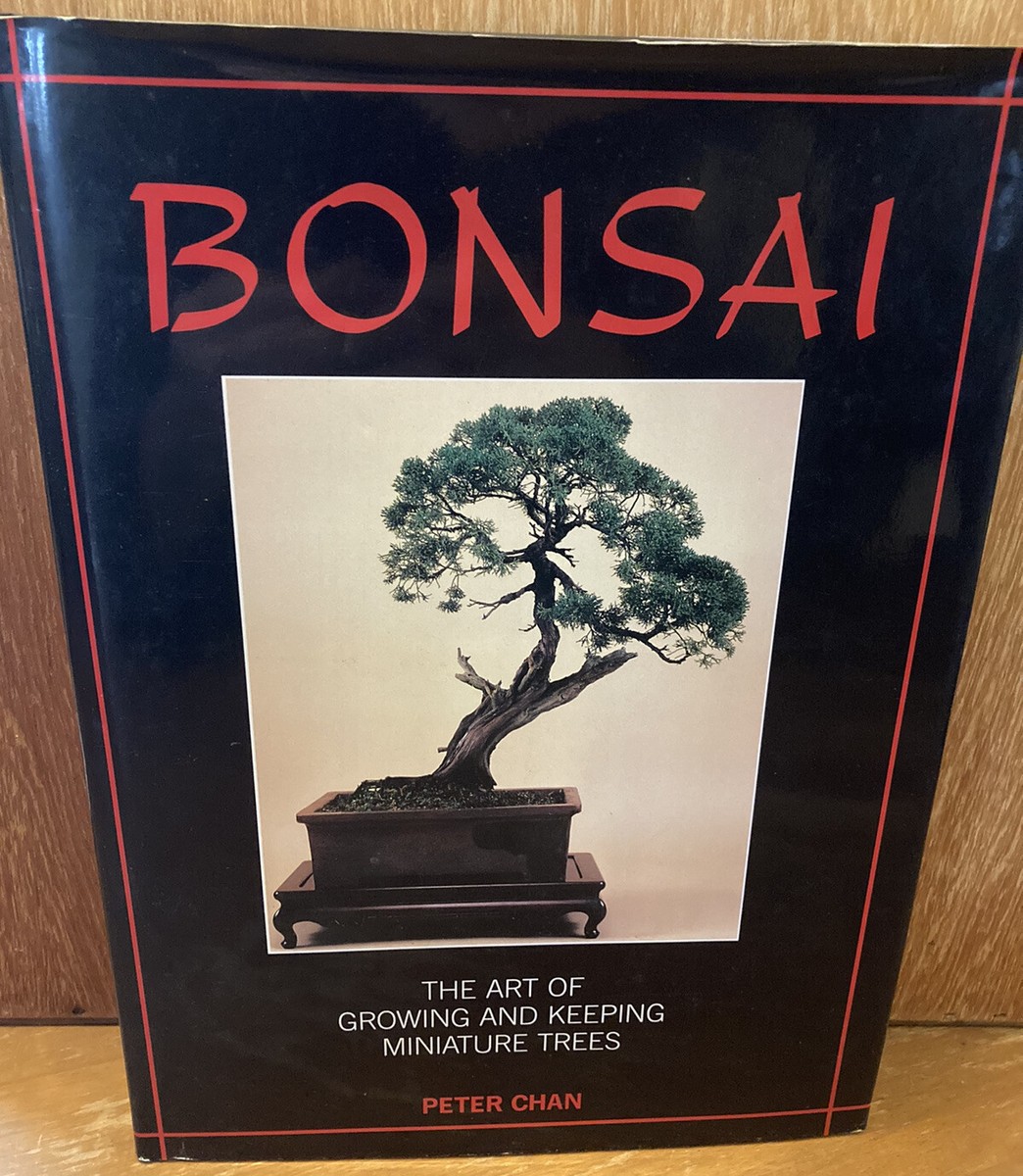 lumaland wschekorb bambus Du willst noch mehr Ordnung fr dein modernes Zuhause?