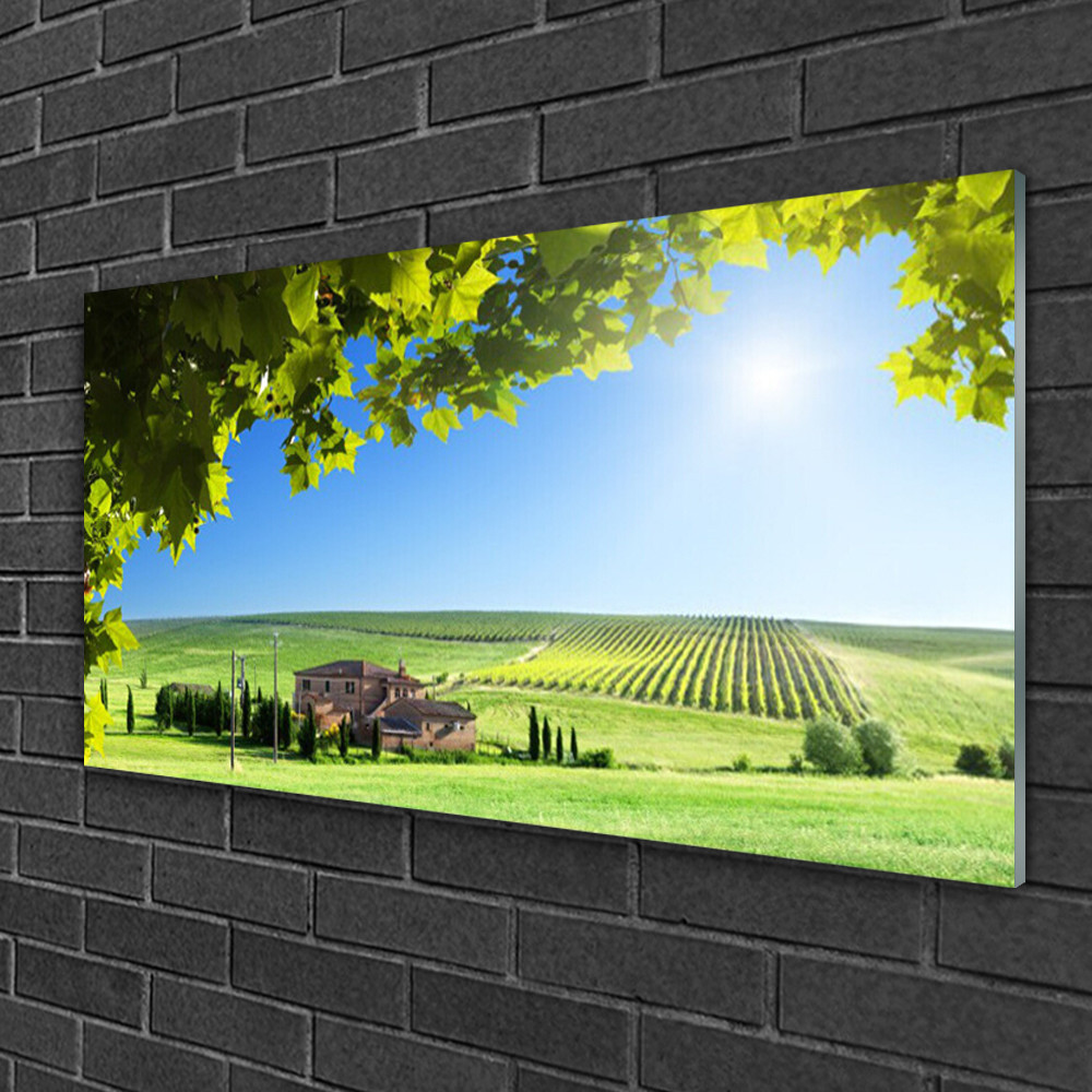 Tableau sur verre 100x50 - Décoration murale pour mur vide Paysage Champ
