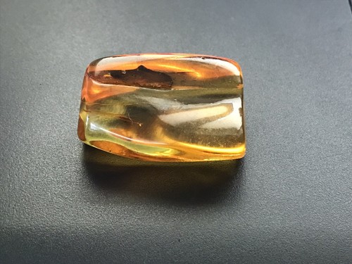 AMBER PIECE With Insect Natural BALTIC AMBER Insects Inclusion Fossil 6,5g 12473 - Picture 11 of 13