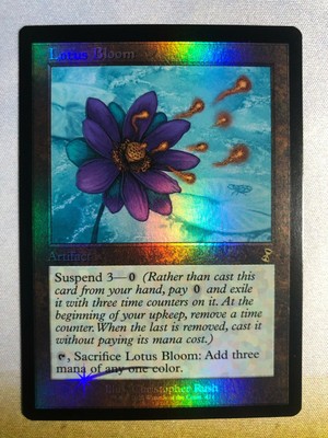 Lotus flower remastered