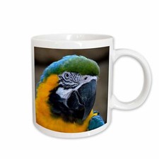 3dRose blue and gold macaw parrot head view c Mug