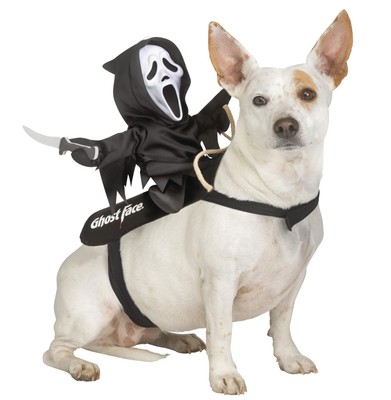 Fun World Pets' Ghost Face Rider Pet Vest Costume, Large-Extra Large, Black