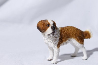 st bernard items