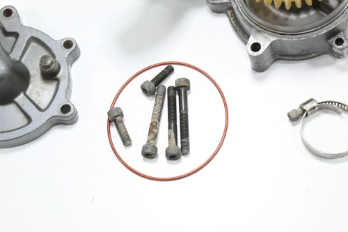 YAMAHA RAPTOR 660 OEM ENGINE COOLING WATER PUMP, GEAR, SHAFT & HOSE! R146 - Bild 4 von 8