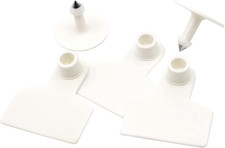 Blank Ear Tags 100 Pieces Blank Livestock Identification Ear Tags for Cattle Cow