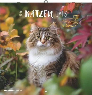 Alpha Edition - Katzen Kalender 2026 - Broschürenkalender 30x30 cm (30x60 cm...