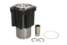 Für FENDT 380 GTA; ABG 186, 213; AG Reparatursatz, Kolben - Zylinderlaufbuchsen