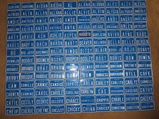 Vintage U S A Mini Bike Name Vanity Blue Metal License Plate Sign A-G