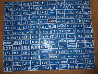 Vintage U S A Mini Bike Name Vanity Blue Metal License Plate Sign A-G