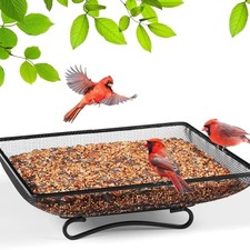 Square Iron Bird Feeder Tray for Floor Placement Rust Resistant