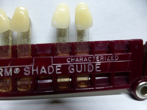 Dentsply International Trubyte Bioform Shade Guide, Dental Zahn passend - Bild 3 von 8
