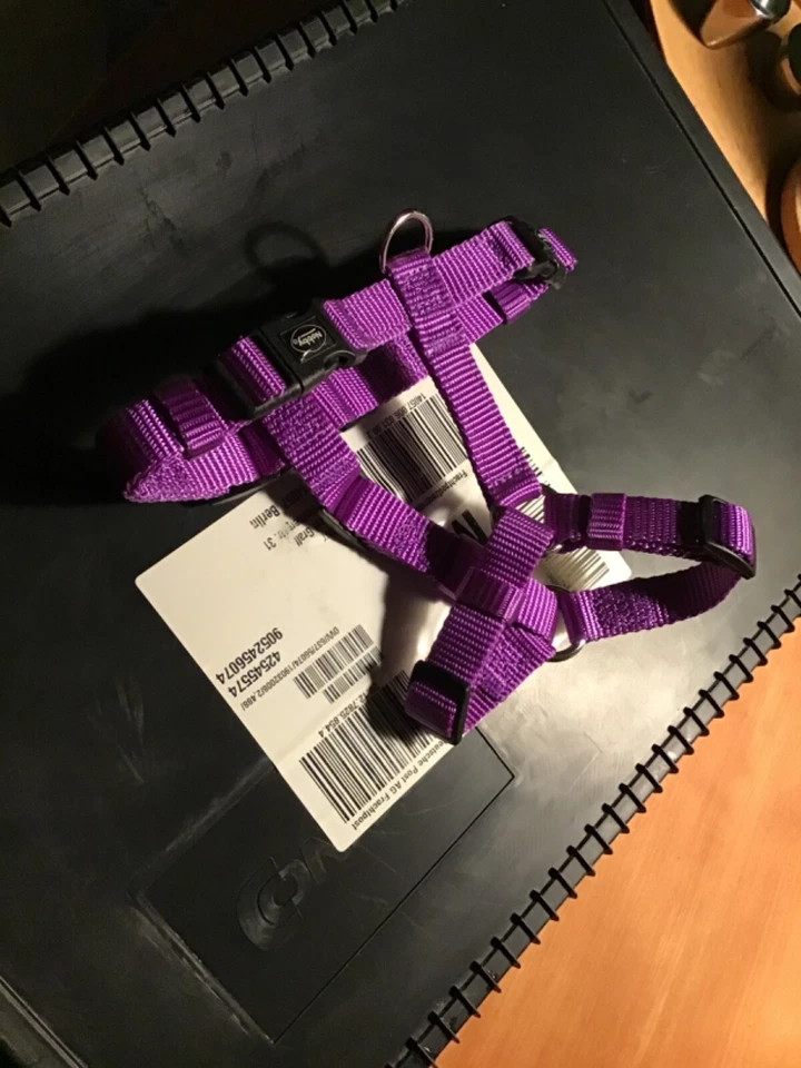 Welpengeschirr, Katzengeschirr, Halsband, lila neu, Gr S