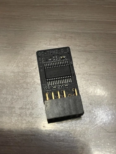 module tpm 2.0 12 pins pour carte mère gigbyte