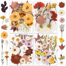 Boho Dried Pressed Flowers for Crafts,Real Natural Dried Flowers and Leaves f...