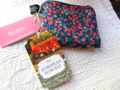 ALICE CAROLINE LIBERTY FABRIC SMALL BAG CLUTCH ZIP CLOSE X