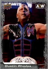 2022 Upper Deck AEW #46 Dustin Rhodes