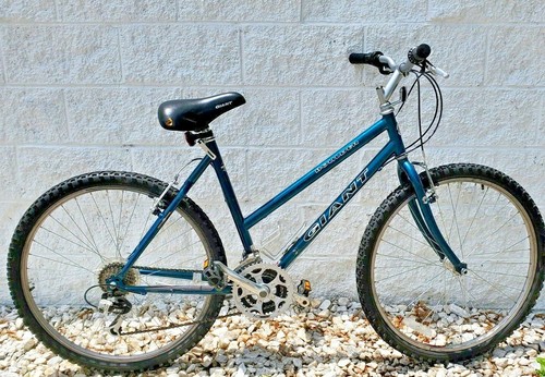 Giant Boulder Hybrid/Commuter 19.5 