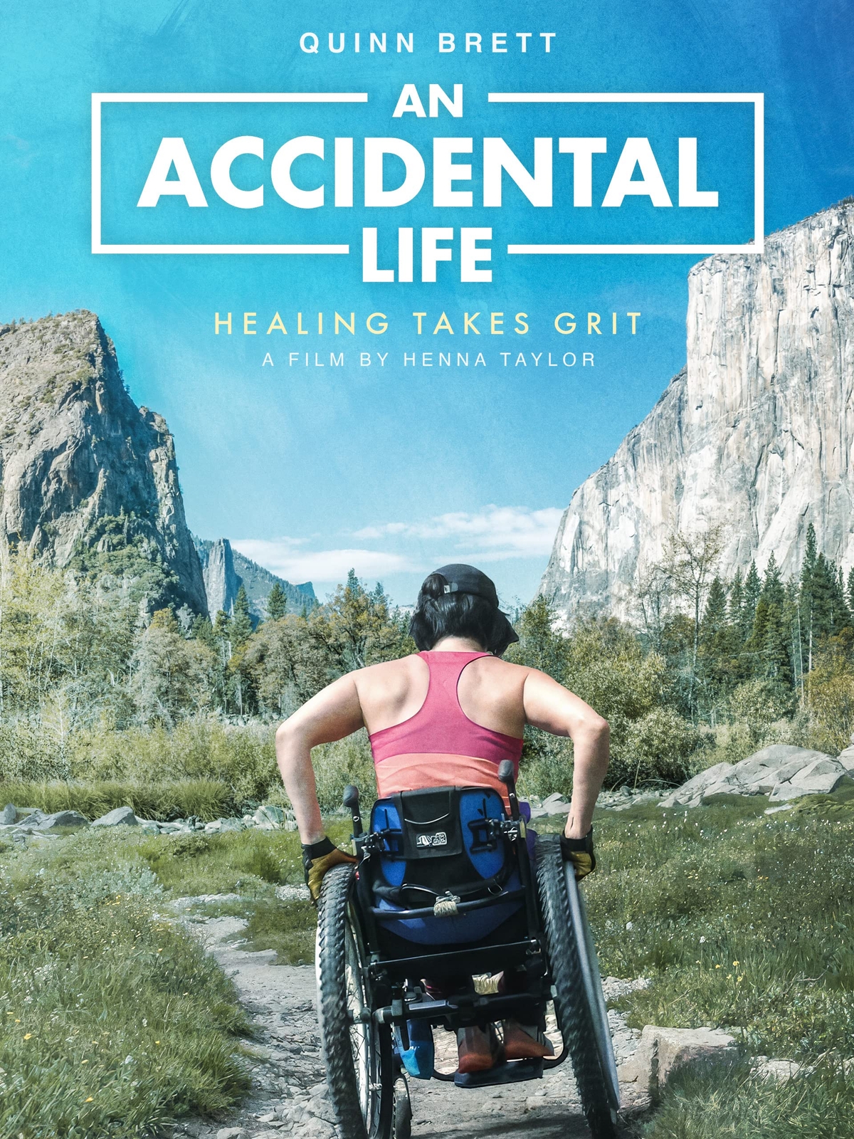 An Accidental Life (DVD) Quinn Brett Henna Taylor Josie Mckee