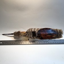 Cowboy Hat Feather Western, Stetson, Resistol, Style, Buffalo Prayer, 12 Inches