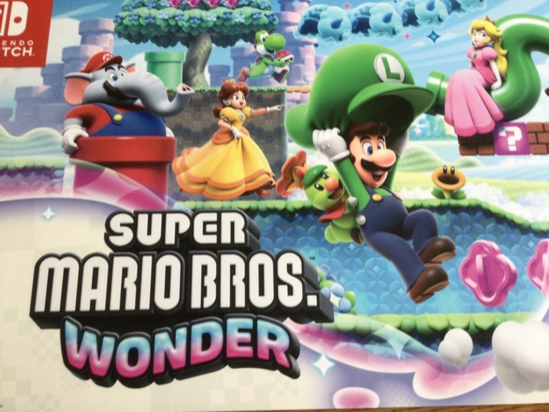 NINTENDO SWITCH FOAMCORE POSTER BOARD Logo Super Mario Bros GameStop Ad Decor
