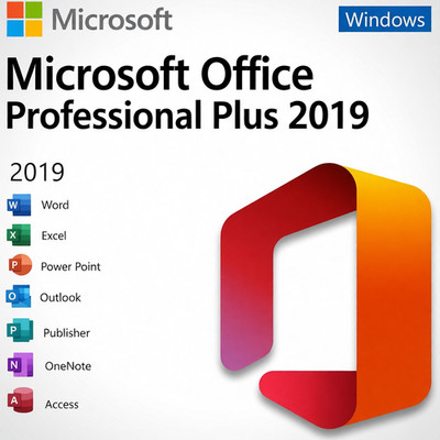 Microsoft Office Pro Plus 2019 Lifetime Program USB 1 PC genuine Retail Lifetime