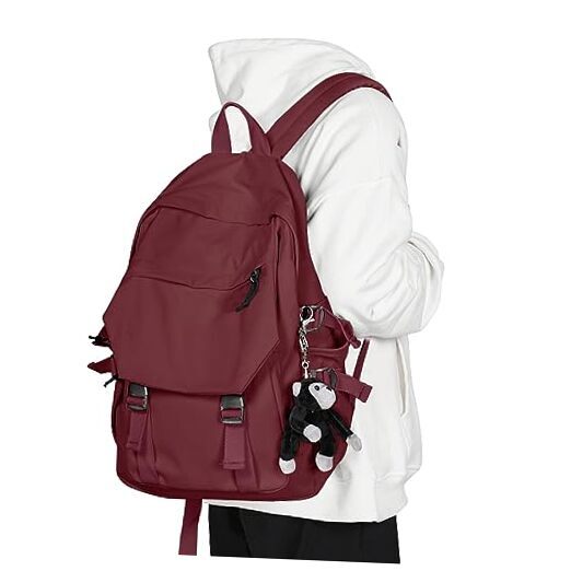 Lightweight School Bag Casual Daypack College Laptop Backpack for Men G-red