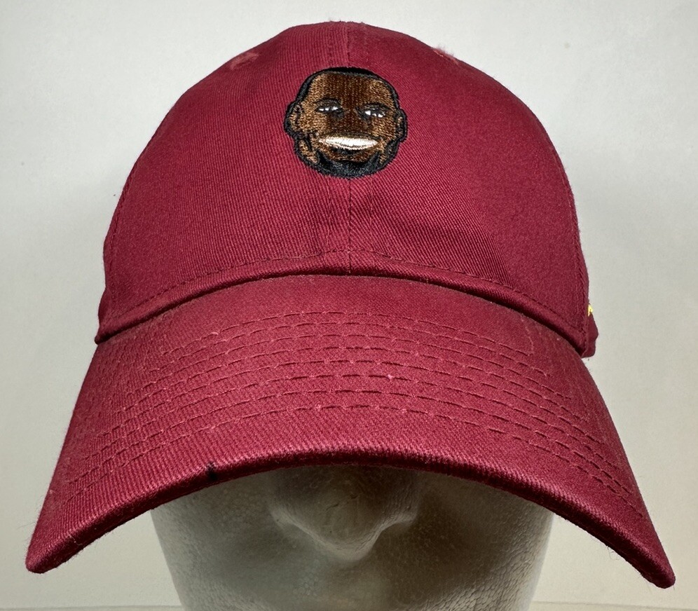 LeBron James Face Hat New Era Cleveland Cavaliers Cap Splash Champ