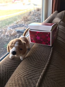 american girl kit's dog grace