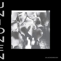 Unionen - Vinyl Record 12 Inch Record - F659Z