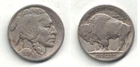 1919 Full Date Buffalo Nickel