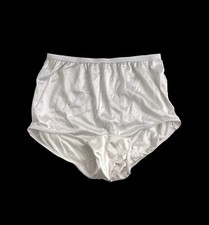 Vintage Carole Granny Panties Nylon Second Skin Lace Waist Sissy Size 5