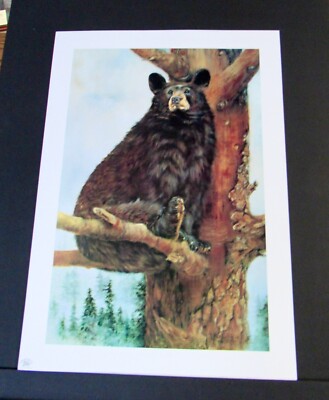 Bee Booth - Lookout  - Black Bear - MINT CONDITION - Unframed