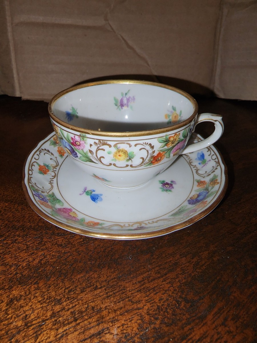 DRESDEN? カップ&ソウサー 注文 Special price！Dresden ドレスデン