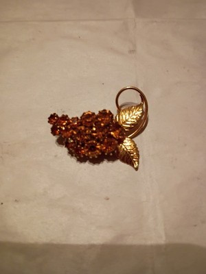 Pink Rhinestone Grape Roach