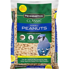 Pennington In Shell Peanuts for Birds and Squirrels 5-lb