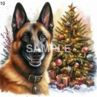 Bild 10 von 13