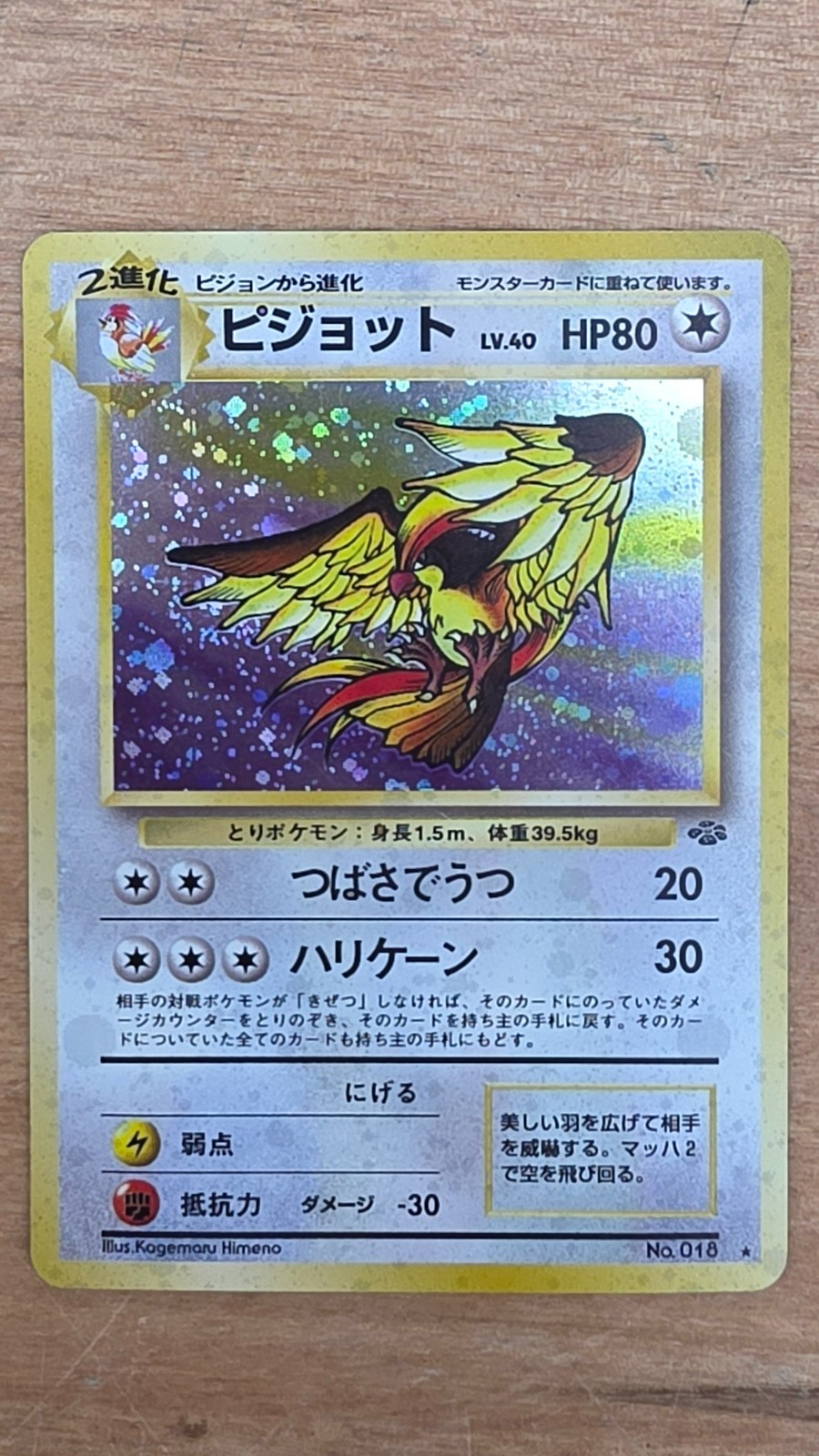 Pokémon TCG Pokémon Pidgeot Pidgeot Holo Rare Holo