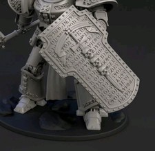 Demonslayer Knight shield only