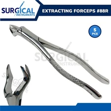 5 Pcs Extracting Forceps Dental Surgical Instruments 88R Stainless German Grade