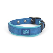 Good Scout Padded Heavy Duty Dog Collar for Medium Dogs, Puppy Training Colla...