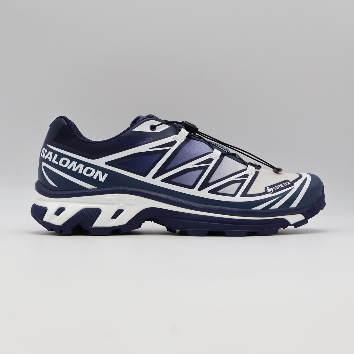 L45440300 Salomon XT-6 GORE-TEX Nami Pack Japan 