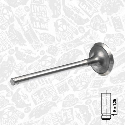Exhaust Valve FORD 1,8 2,0 928M6505D2A 6911483 948M6505B2A NGA NGB NGC NGD RDA