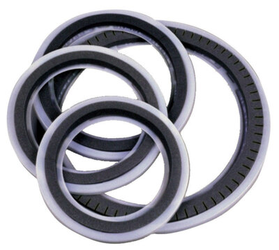 REMO MF-1010-00 Ring Control Muffl 10 Zoll