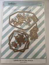 Spellbinders Large Die of the Month-June 2020 - Geometrical Floral Frames - NEW