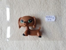 Rare Lps Petshop Chien Teckel