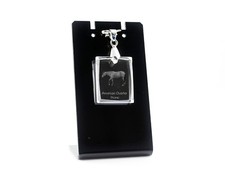 Quarter horse, collier en cristal avec un cheval, Crystal Animals FR