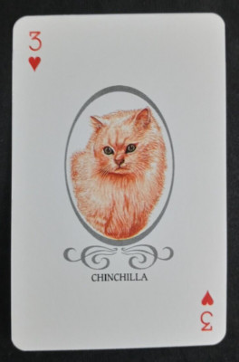Cat Lovers Playing Card Red Back Chinchilla 3 Hearts